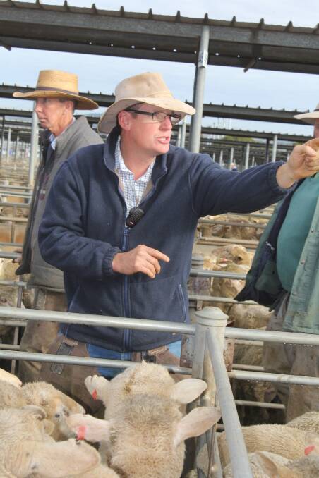 Isaac Hill, principal of GJ Hulm Wagga takes the bids at the Wagga sheep and lamb sale. Pictures: Nikki Reynolds