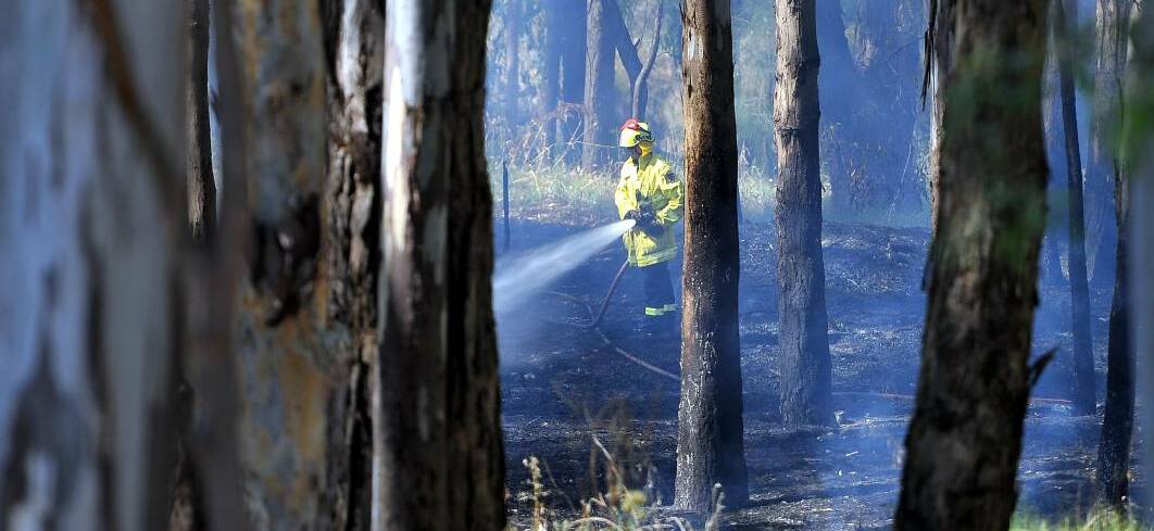 Fire crews containing a fire near the Murrumbidgee River in February this year.