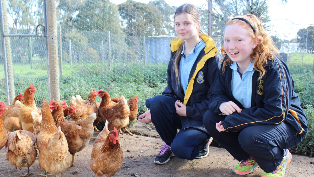 READY TO GO: Junee High School students Rachel Anderson and Felicity Claydon, both 12, gearing up for agricultural careers expo AgVision. 