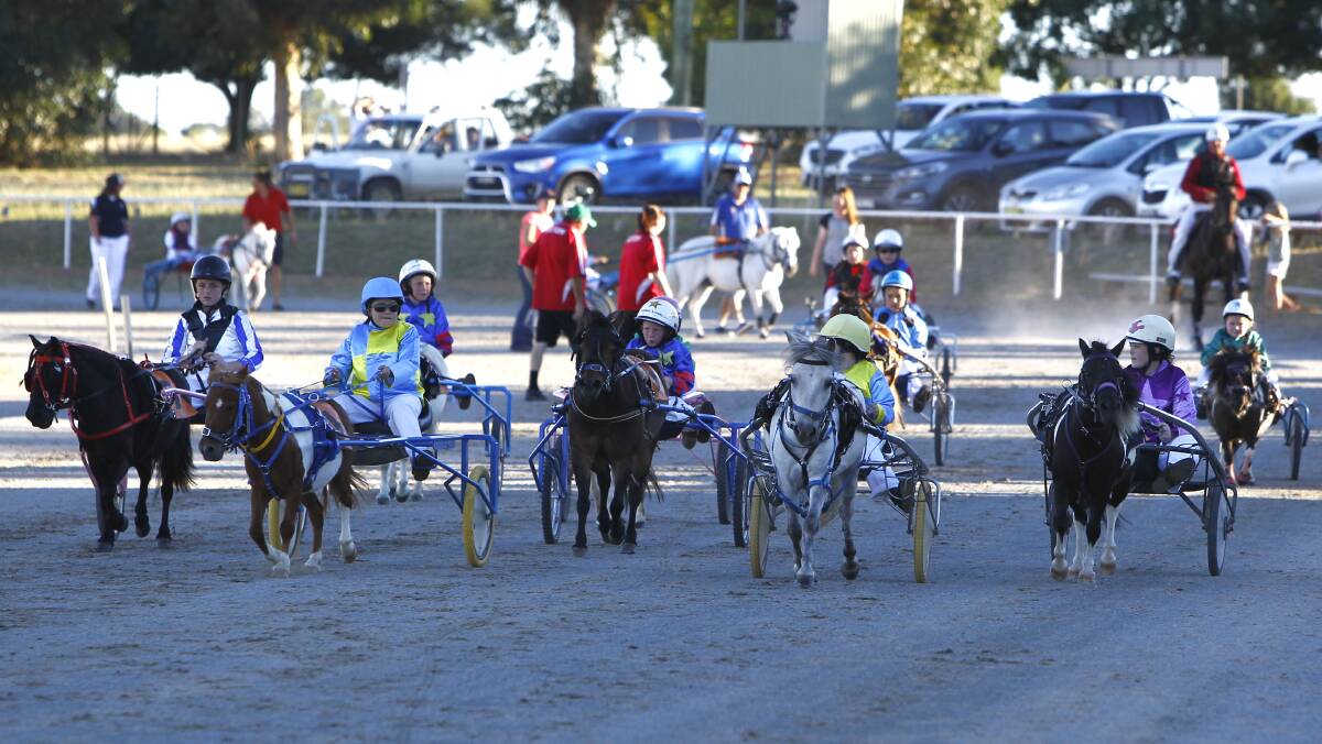 The mini-trotters will be part of a big day on the track at the Junee Show on Friday.