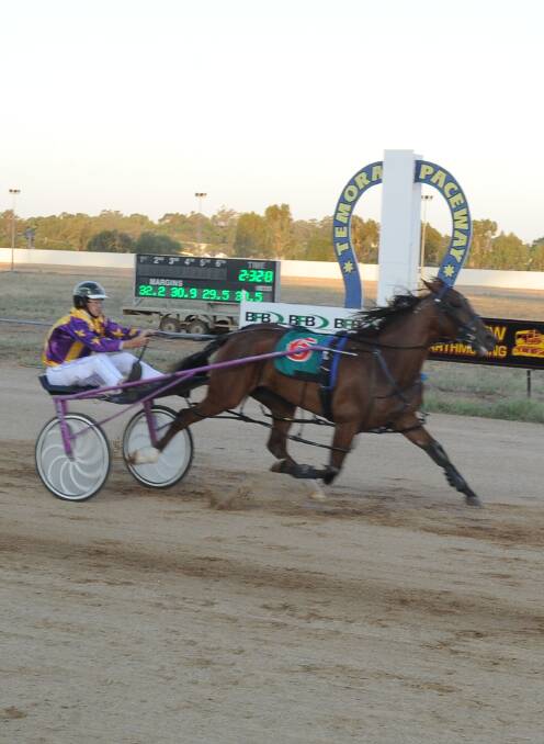 Jordan Seary guides Gotta Bewitched to the line at Temora on Saturday.
