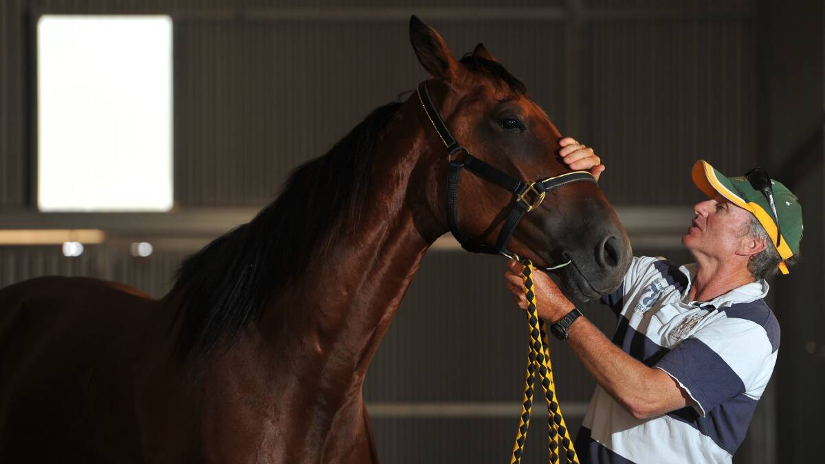 Frith, pictured with former trainer Bruce Harpley, has been retired to the broodmare barn after earning more than $1.1 million on the track.