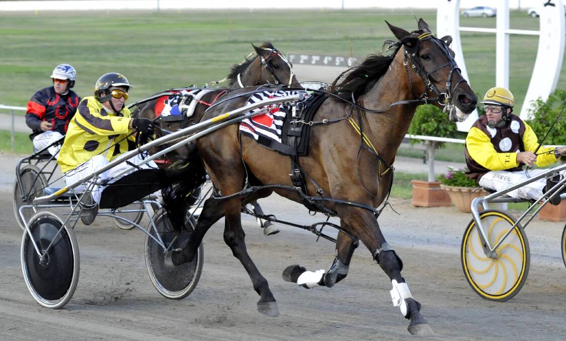 Former Junee pacer Sokys Bigbullet won the $50,000 Bunbury Cup on Saturday night.