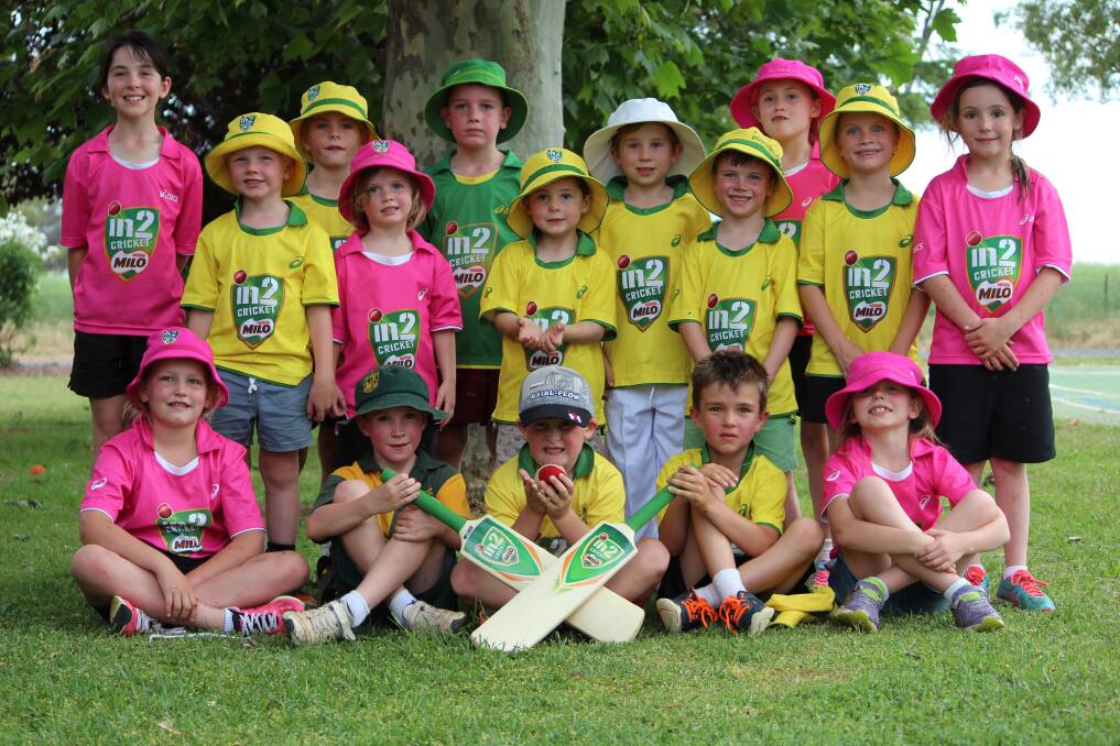 FUTURE SPORTING STARS: Last year's debut MILO in2CRICKET crew. Picture: Dianne Cusack 