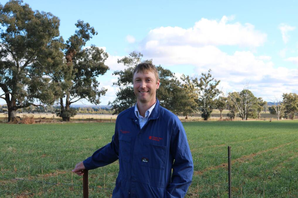 LESS LAMBS LOST: CSU lecturer and Graham Centre researcher Dr Shawn McGrath says the results should be in by Christmas. Picture: supplied