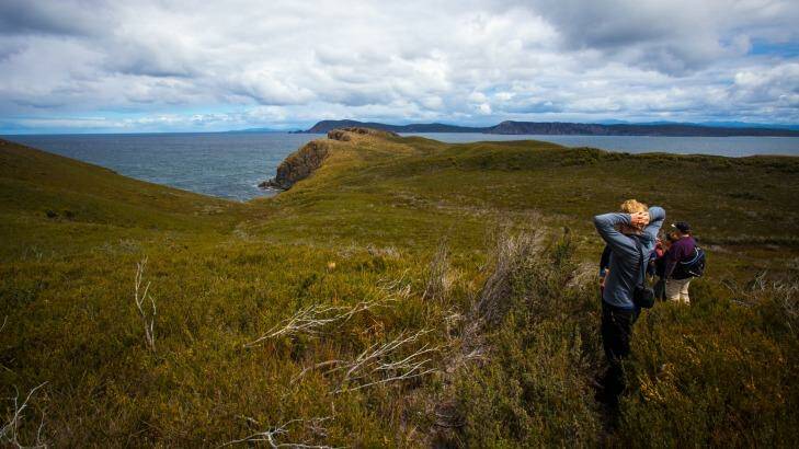 Bruny is effectively two islands, North and South, connected by a narrow isthmus called The Neck. Photo: Tourism Tasmania