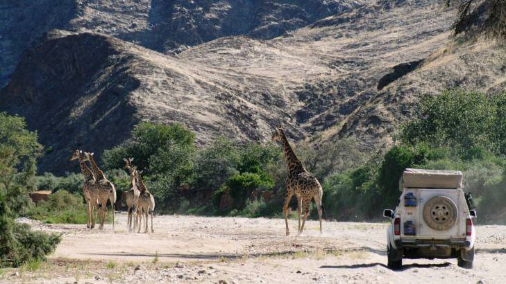 Classic Safari Company self-drive safaris Photo: Jane Reddy