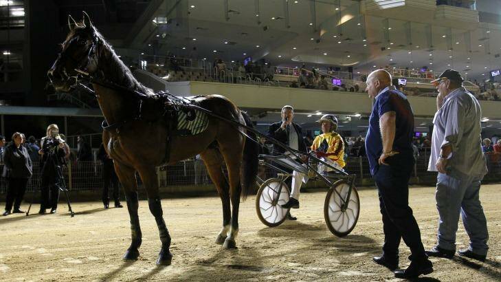 Big chance: Miracle Mile entrant Avonnova after his triumph in Newcastle. Photo: Max Mason-Hubers