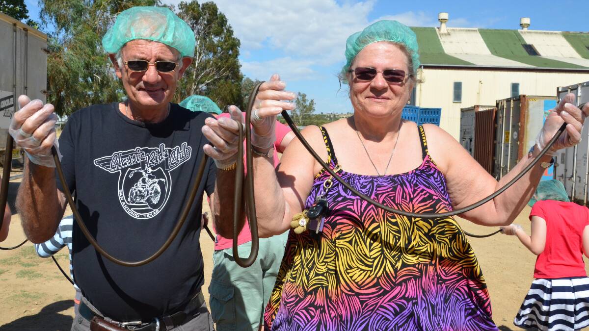 Darryl and Donna Corfield all the way from South Australia take part in the world's longest licorice strap attempt. Picture: Declan Rurenga