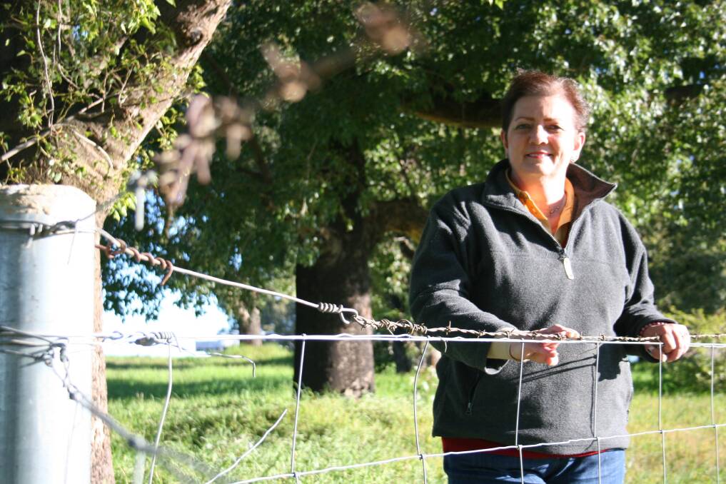 Marinna resident Margaret Kanaley will be part of a panel slated for August 27 talking about succession planning for family farms. Picture: Declan Rurenga