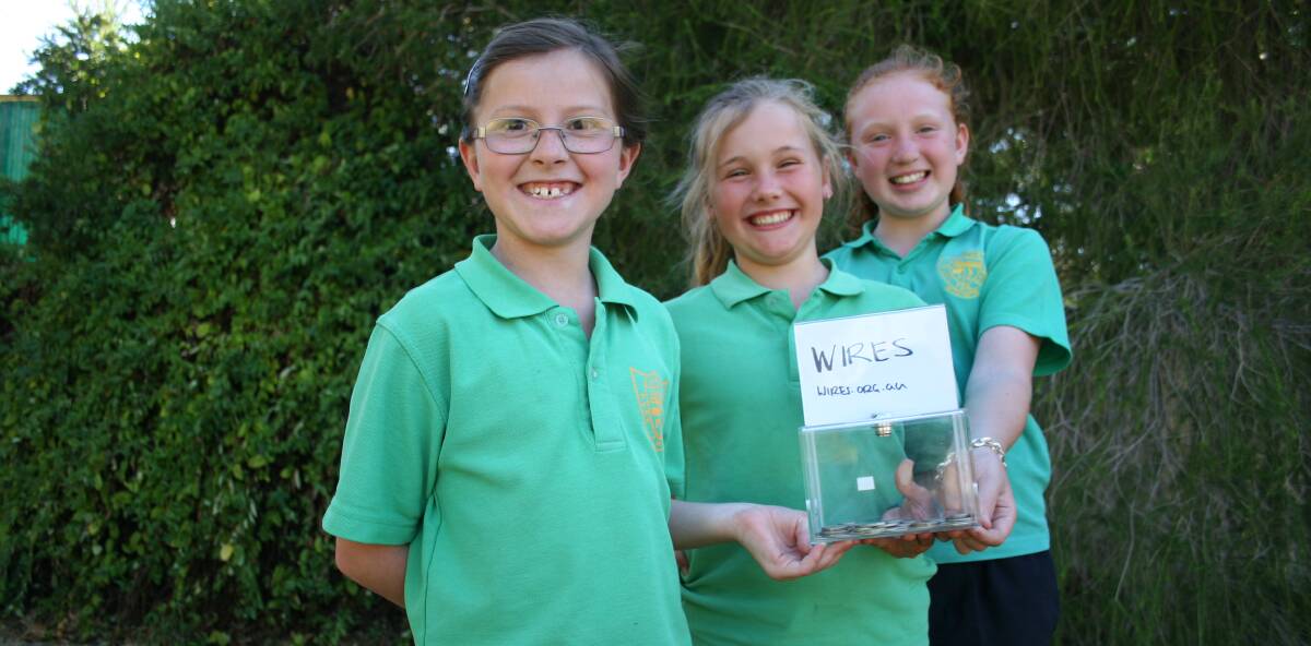 TAKING THE INITIATIVE: Indiana Chilby, Anna Skewes and Felicity Claydon, all 11, started their own cake stall to help WIRES. Picture: Declan Rurenga