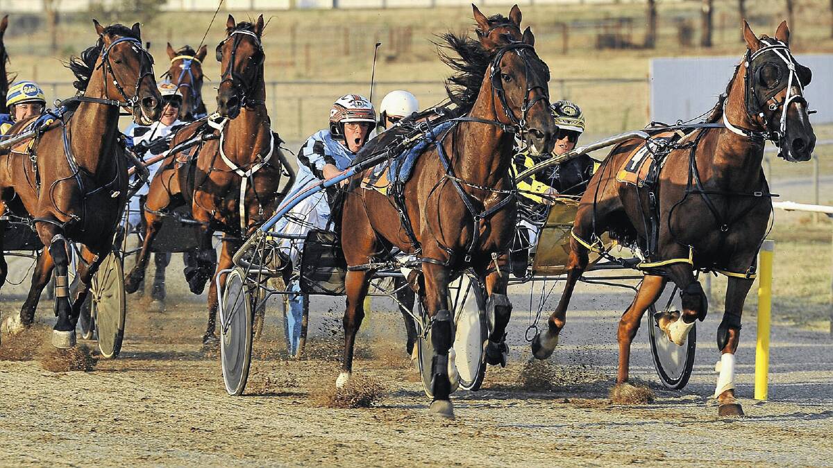 Paul Diebert brings Grinners Dance home to win on Saturday in the Junee Panel and Paint Pace. Diebert will be only one of the drivers and trainers heading to Junee for the Australia Day eve meeting on Friday. Picture: Addison Hamilton