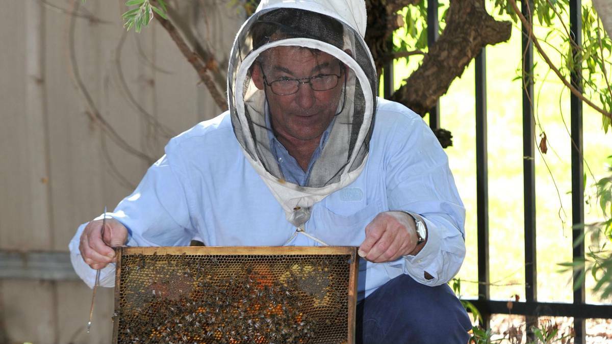 Malcolm Bauer is starting an amateur bee-keeping club in Wagga. Picture: Riverina Leader