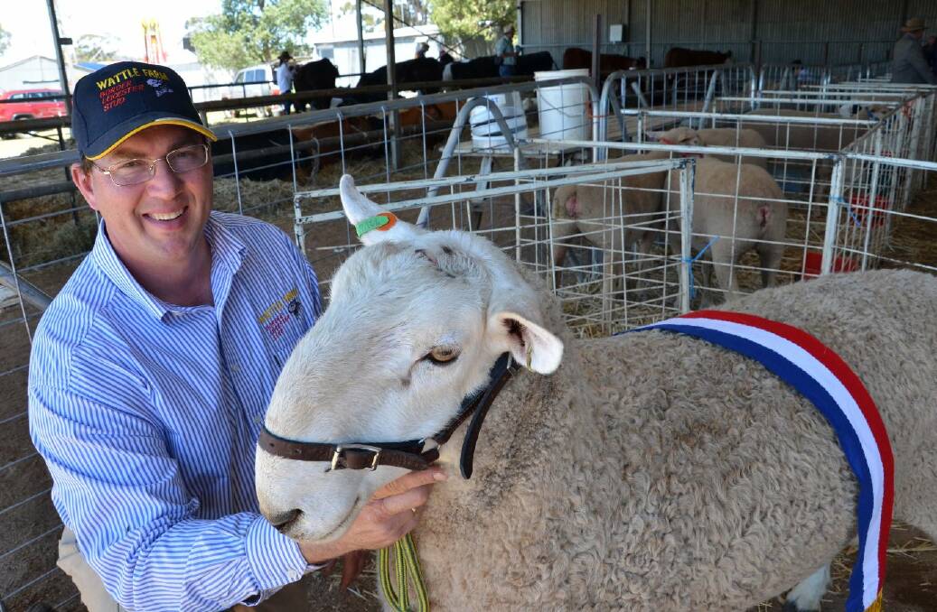 Jeff Sutton from Wattle Farm claimed the supreme champion ram at the Junee Show. Picture: Declan Rurenga