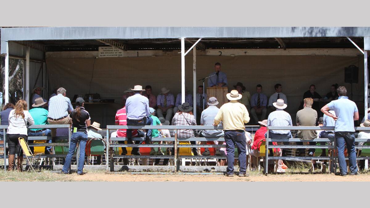 Illabo Show - Sheep go under the hammer. Picture: Les Smith