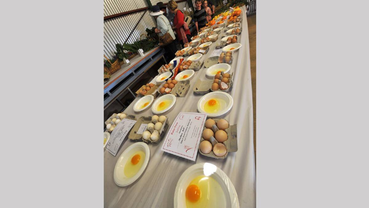 Illabo Show - The egg display. Picture: Les Smith