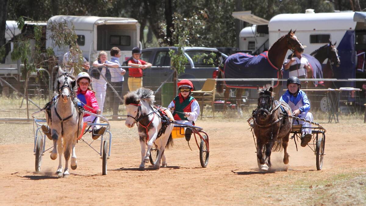 Illabo Show - Mini trotters show off their stuff. Picture: Les Smith