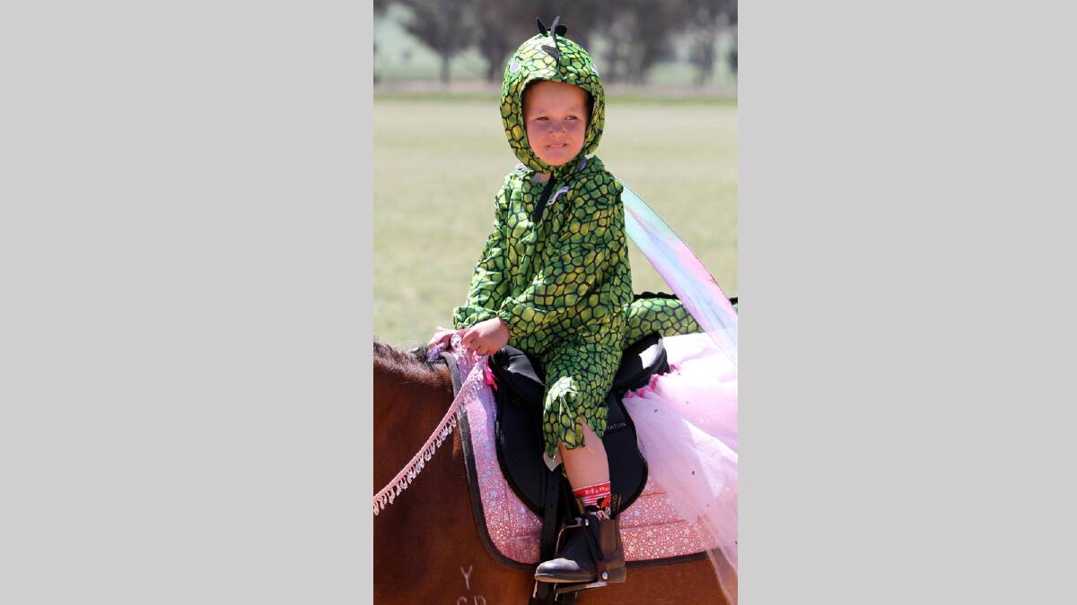 Illabo Show -  Torry Butler, 4, from Young goes fancy dress with her horse Maddy Picture: Les Smith