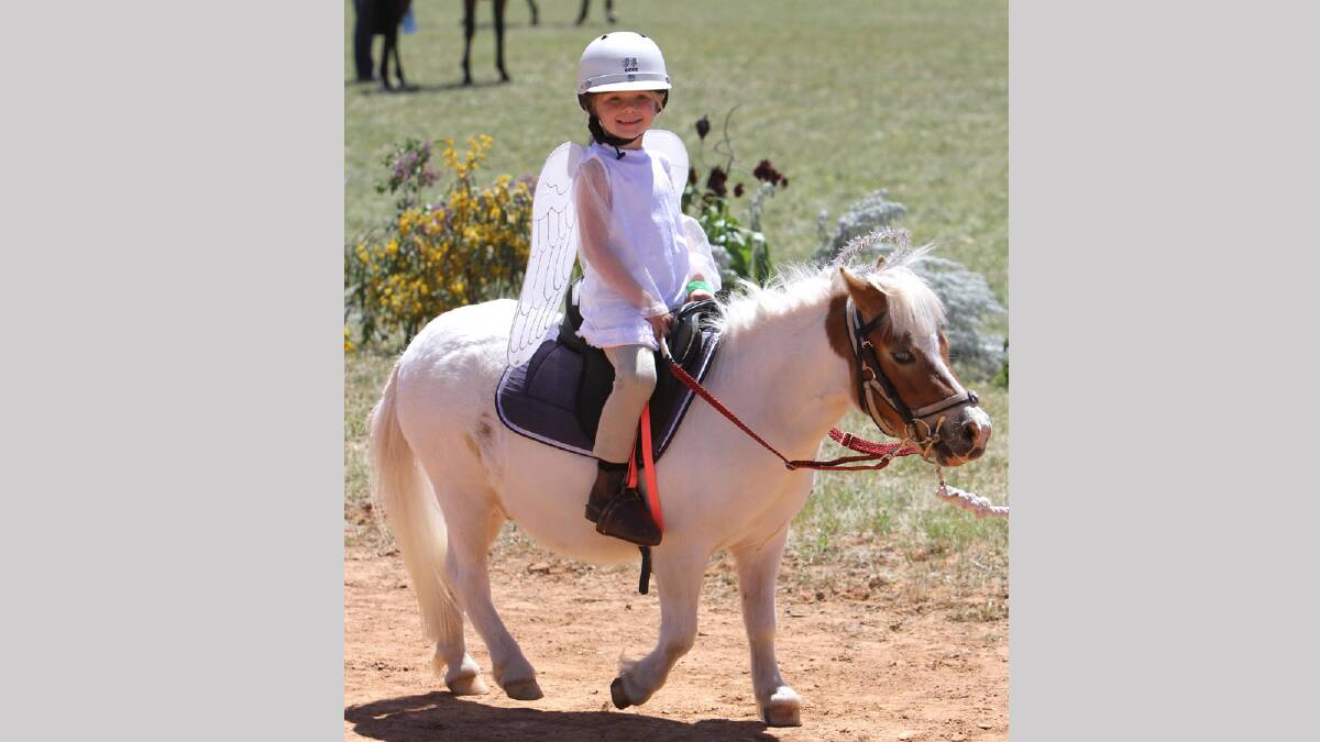 Illabo Show - Little angel Ayla Nicoll, 5 of Junee on Ozzie. Picture: Les Smith
