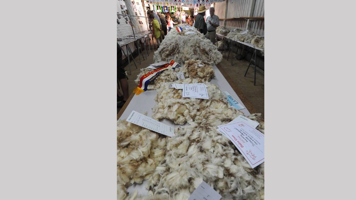 Illabo Show - Fleece on display. Picture: Les Smith