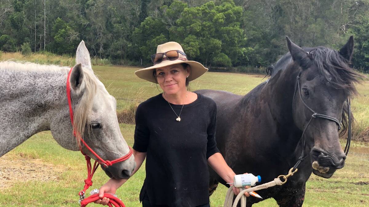Heather Walker with horses she is treating from flood. Photo: Samantha Townsend