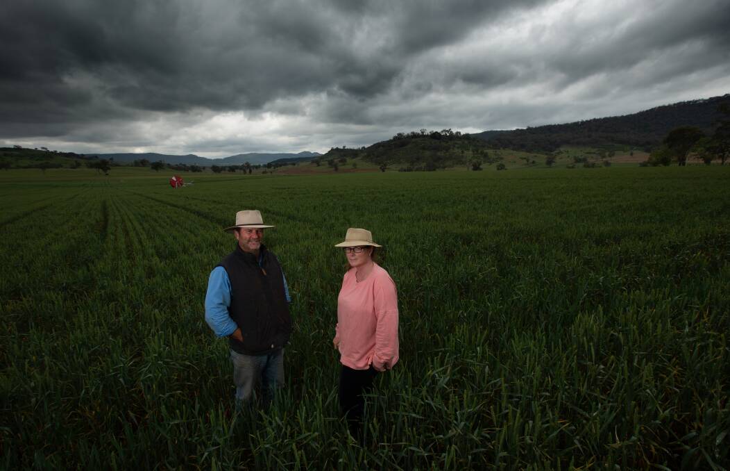 Taking a stand: Phillip Kennedy, president of the Bylong Valley Protection Alliance, and his partner, Merran Auland, standing in a field of wheat on their farm. Picture: Jonathan Carroll
