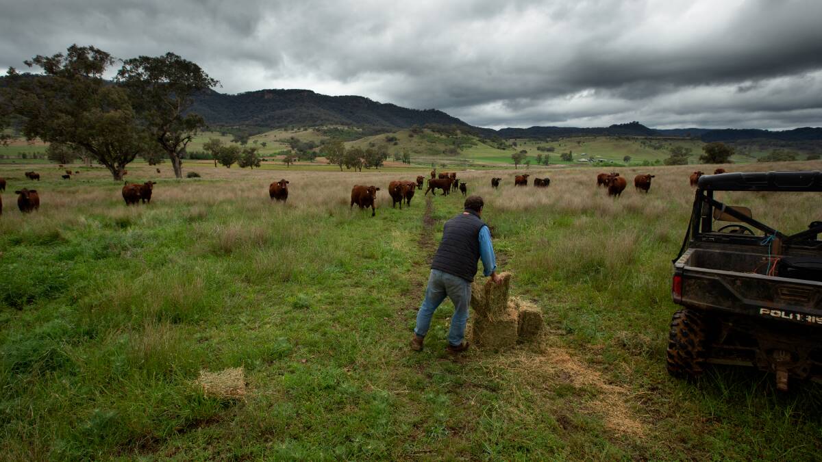The Bylong Valley: A picturesque stretch of prime agricultural land situated between Mudgee and Muswelbrook in NSW. Flanked by the Goulburn River National Park to the north and the Wollemi National Park to the south-east, the area was heritage listed by the National Trust in 2013. Picture: Jonathan Carroll