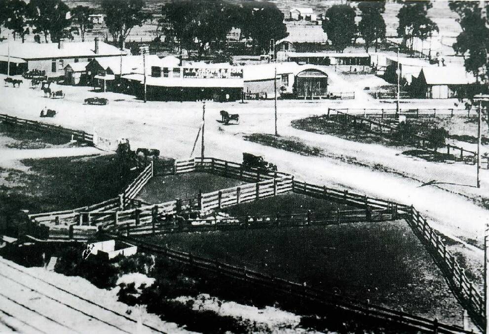 VIEW FROM THE TOP: A view of Illabo from the silo, showing the stockyards, the hotel Crowe's Store. Picture: Courtesy of Illabo School Centenary bookley