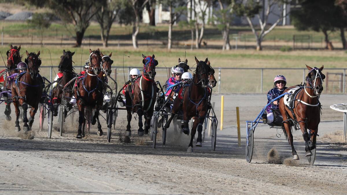 WINNER: Confederate Girl wins the second race at Junee for Ellen Bartley last Saturday night. The busy harness racing period continued with Leeton on Boxing Night. Picture: Les Smith