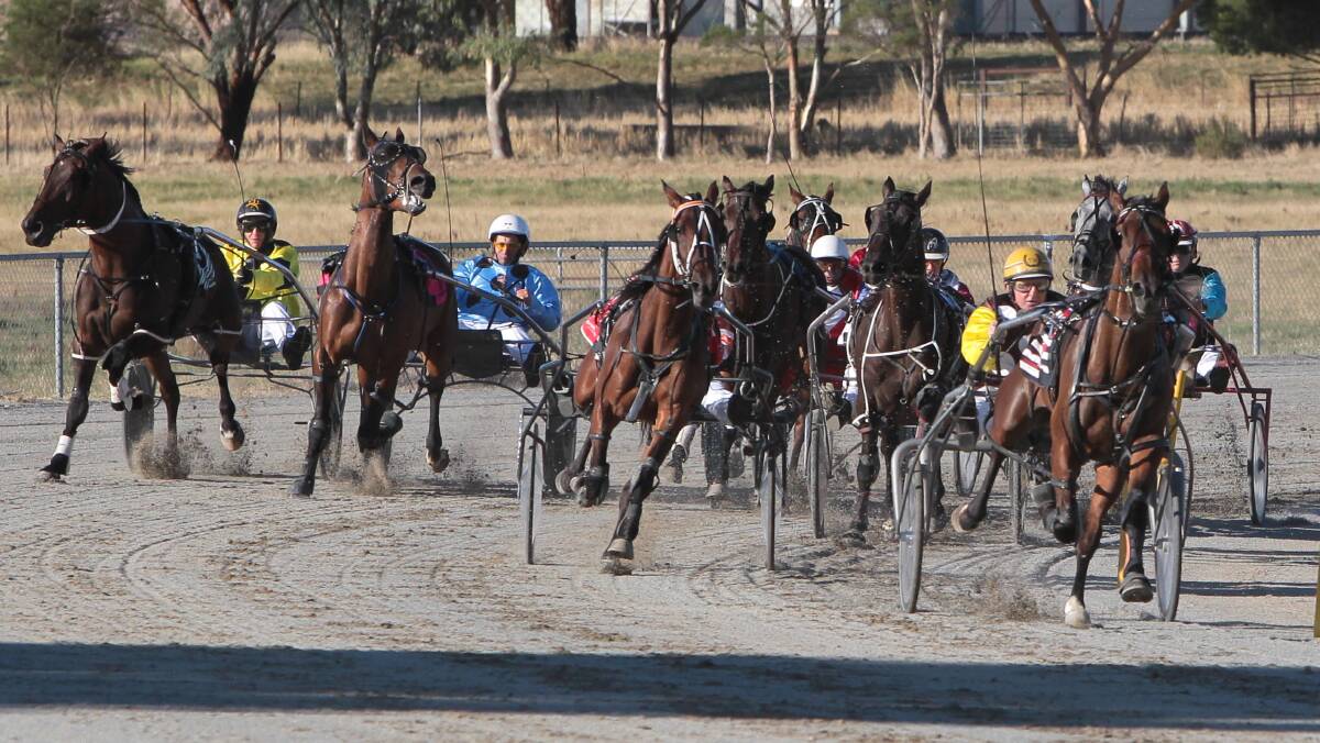 OFF AND RACING: Junee Harness Racing Club will hold a Christmas race meeting on Saturday night. Picture: Les Smith