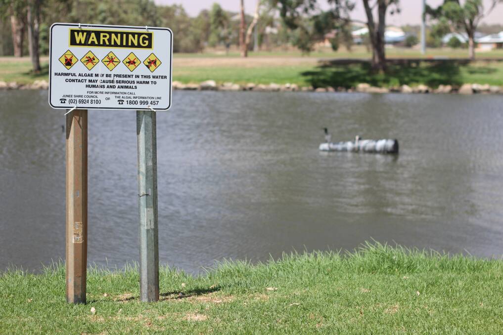Warnings have been placed around the water storage pool, after blue green algae was discovered. Picture: Emma Horn