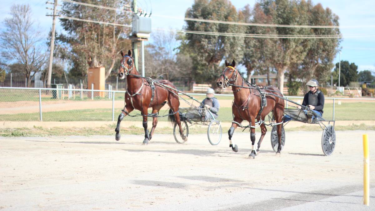ON TRACK: Bruce Harpley drives Jimmy Beach with Jordan Seary on Geraldton Wax at the Junee Harness Racing Club.