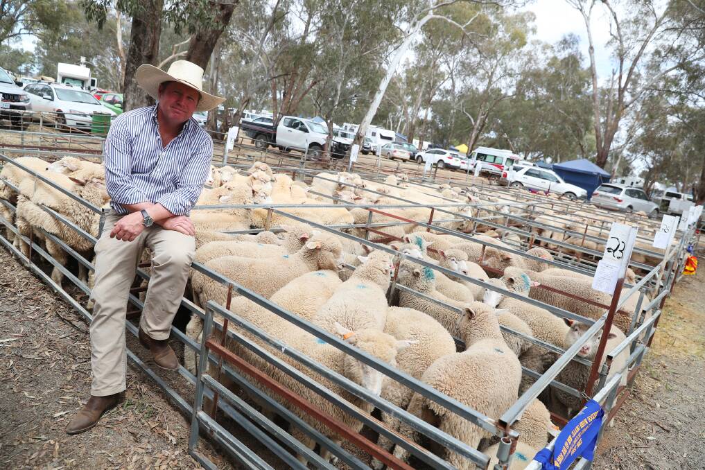 SHOW SEASON: Chris Wilson from Wantabadgery wins 1st place with his light weight lambs, during last year's Illabo Show. Picture: Emma Hillier