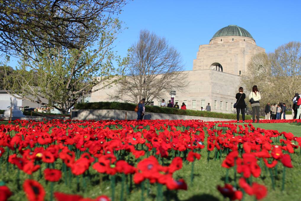 62,000 handmade poppies on the front lawns of Canberra's War Memorial. Picture: Emma Horn
