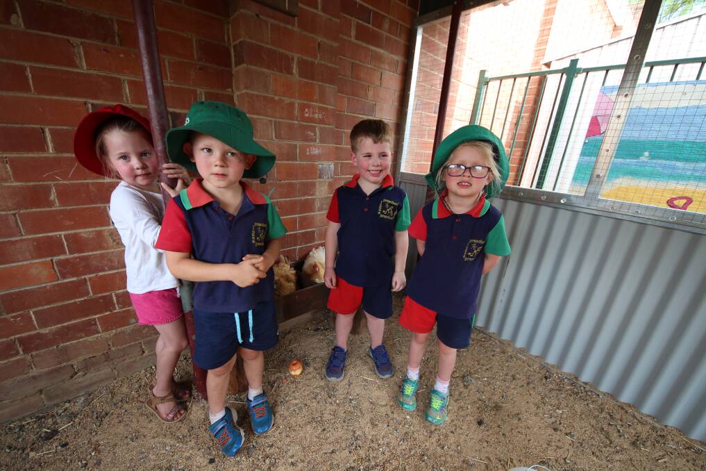 HOOKED ON CHOOKS: Ella Hands, George Baldry, Lachlan Oliver, and Zailey Pratt inside the newly built chicken coop. Picture: Emma Horn
