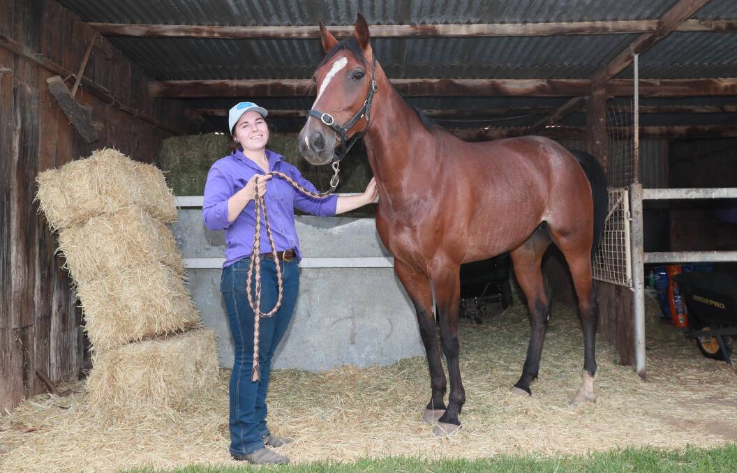 READY TO ROCK: Tegan Judd with Rockita as she prepares to line up in the Junee Pacers Cup heats on Saturday night. She has drawn barrier one in the second heat. Picture: Les Smith