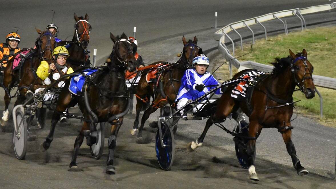 STRONG FORM: Cee Cee Ambro, pictured winning her heat at Wagga, backed up to take out a NSW Breeders Challenge semi-final on Saturday night. Picture: Courtney Rees