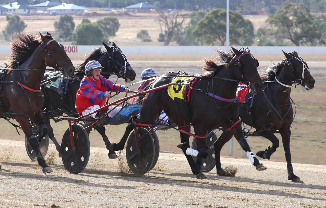 DRIVING FINISH: Amanda Turnbull urges Art Series to the line to take out a Menangle Country Series heat at Wagga on Friday. It was part of a double for the Bathurst driver and her father Steve. Picture: Les Smith