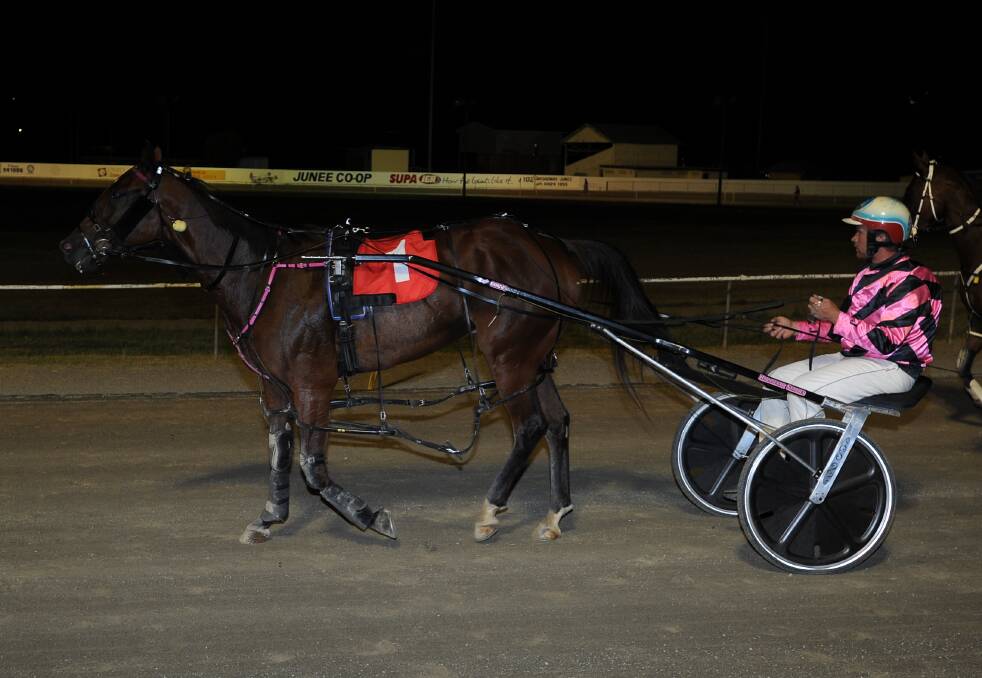 NEW DATE DECIDED: Ned Pepper, pictured after winning last year's Junee Pacers Cup, was looking to make it back-to-back wins before rain forced the postponement on Saturday.