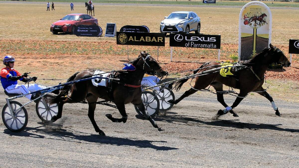GOOD SHOT: Some Waratah, pictured winning at Eugowra in October, will be looking to make it two wins in his last four starts for Junee trainer-driver Bruce Harpley on Friday. Picture: Coffee Photography
