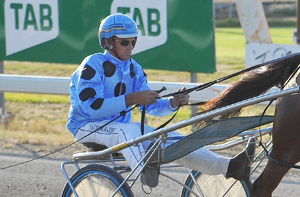 GOOD HOPE: Junee Reefs trainer-driver Matthew Harris has two chances at Wagga on Friday including two-year-old Roll Out. 