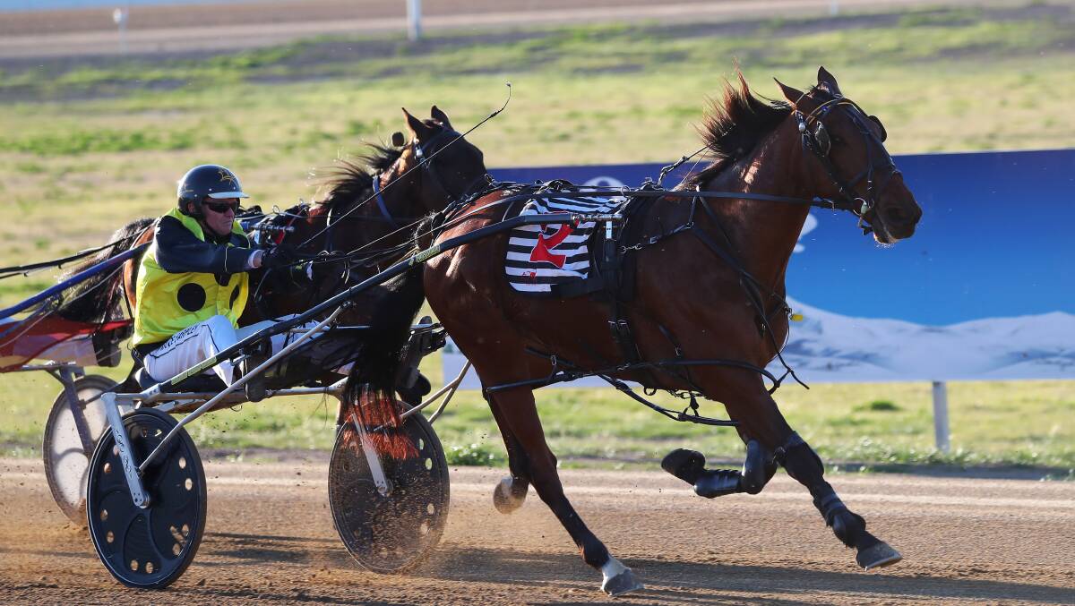 ALL ADDS UP: Harps' victory at Riverina Paceway on Friday helped trainer Bruce Harpley win the Southwest and Riverina premiership.
