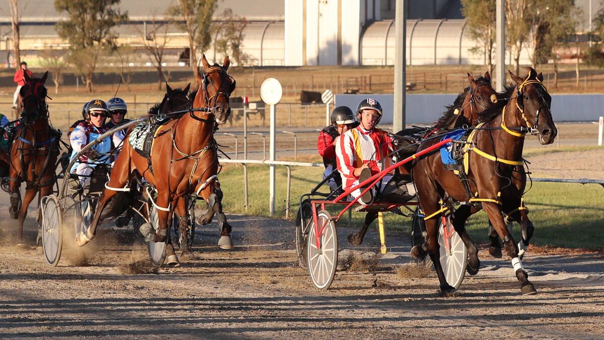 Harness racing returns to Junee Paceway on Saturday.