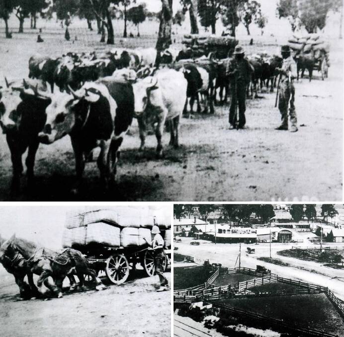 AGRICULTURE: The Illabo School Centenary booklet features great photos of life on the land at Illabo at the turn of the century. Pictures: Contributed