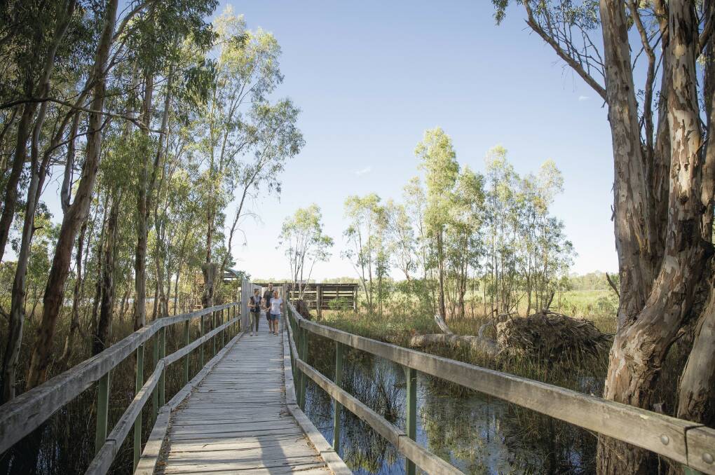 ESCAPE: Mathoura is famous for the Reed Beds Bird Hide, a world-class bird observatory located within the Murray Valley National Park. 