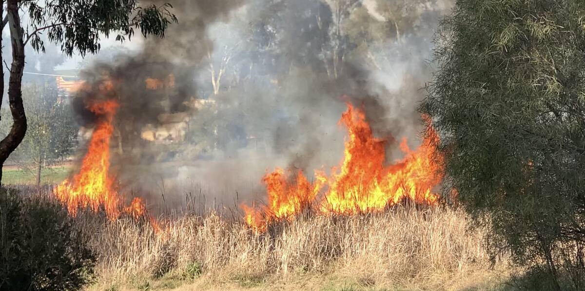 A fire broke out in the Junee wetlands on Sunday, with flames coming close to a number of properties. Picture: Jaydan Duck 