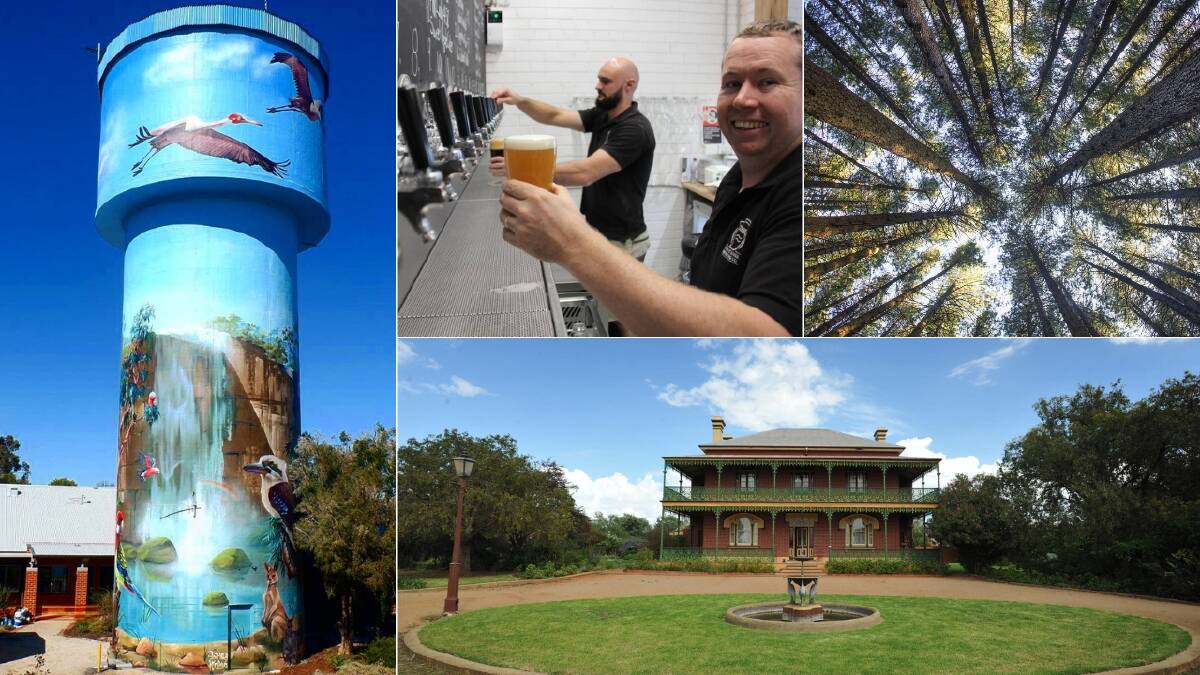 Guide to a five-day road trip around the Riverina