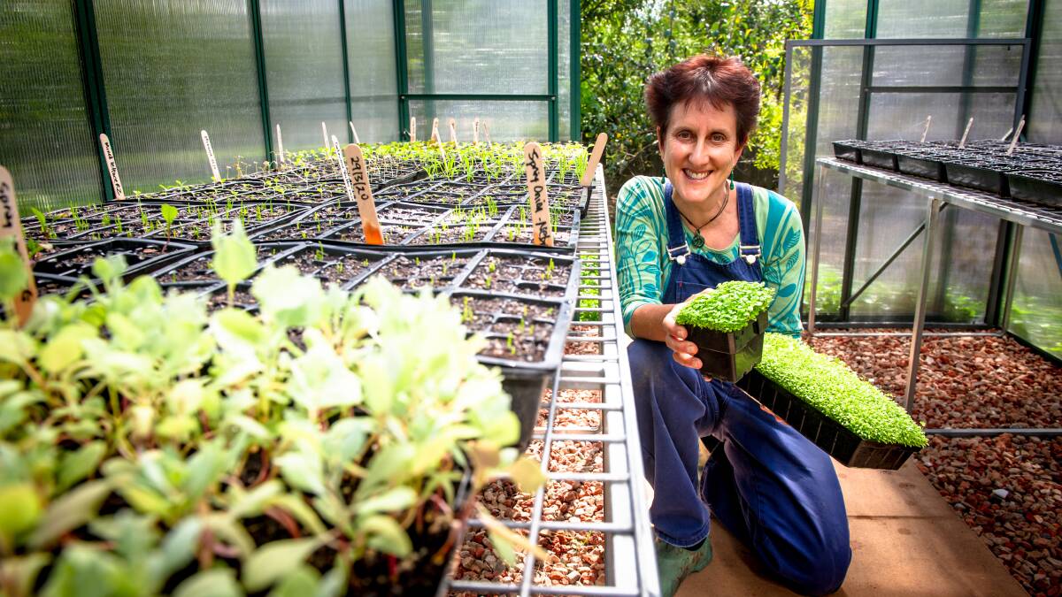 Fiona Buining runs Ainslie Urban Farm and will soon travel overseas to bring back ideas to improve urban agriculture and education in Australia. Picture: Elesa Kurtz