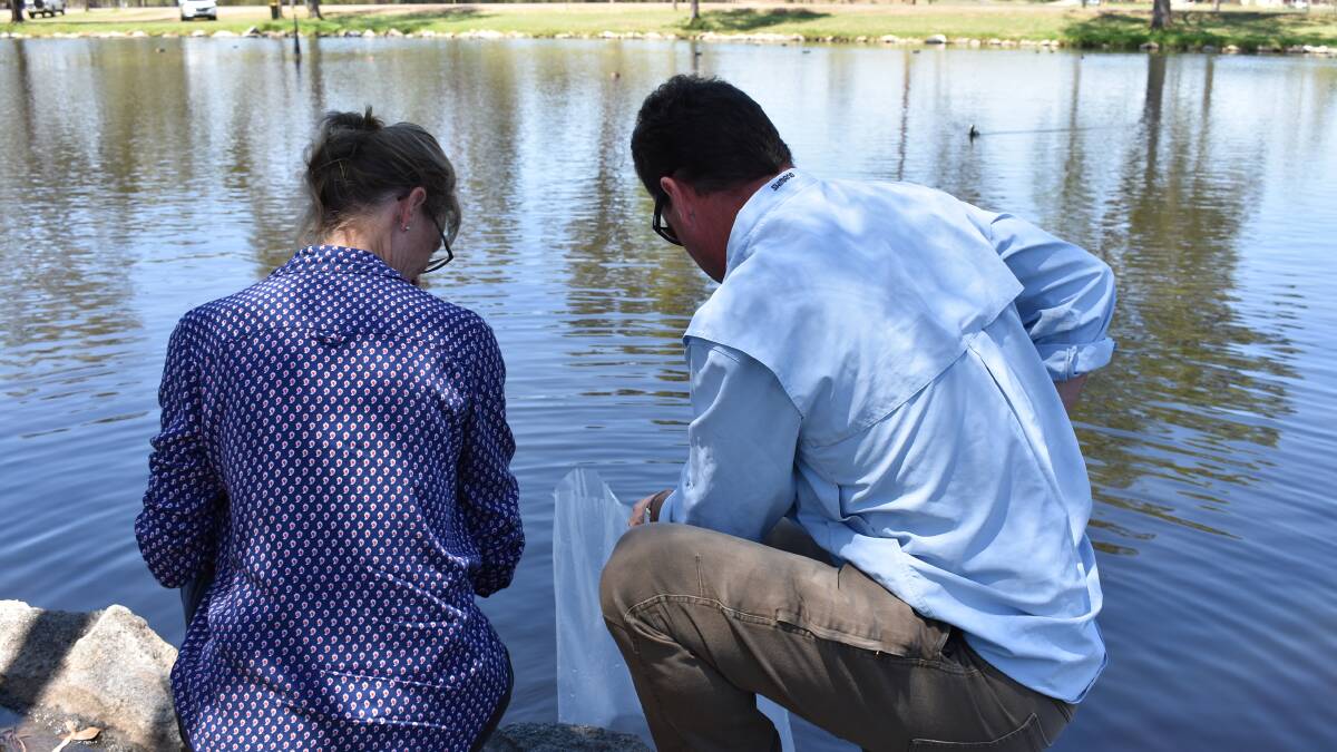 Martin Asmus, a fisheries scientist for the NSW Department of Primary Industries, and Member for Cootamundra Steph Cooke release some of the fingerlings.