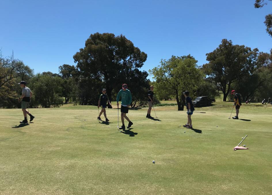 FLY LITTLE BIRDIE: Cody Hackett has shot the Junee Junior Golf Club's first recorded birdie during last Sunday's Back 9 Holes. Picture: Supplied
